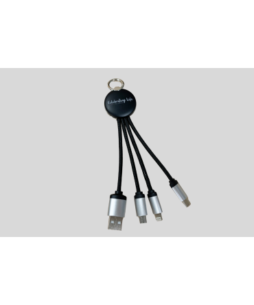 4-in-1 Multi Connector Cable
